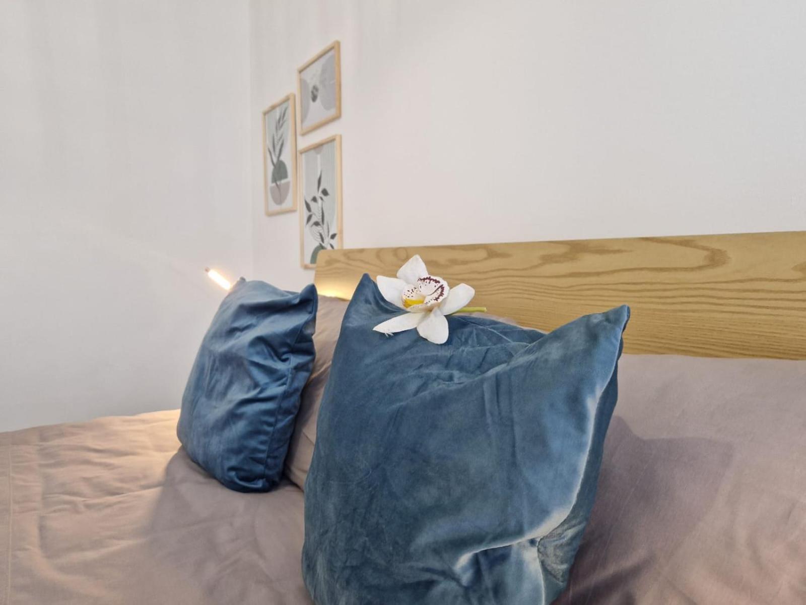 Elba2 Apartment บารี ภายนอก รูปภาพ